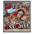 One Piece Tapestry